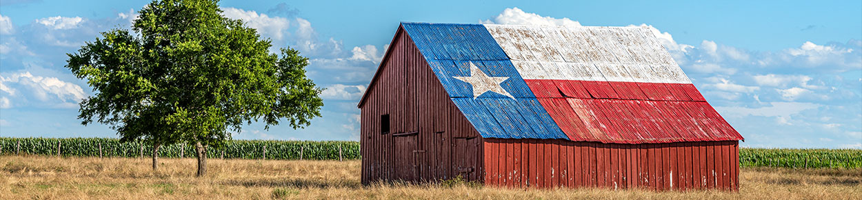 An abandoned old barn with the symbol of Texas painted on the roof sits in a rural area of the state,