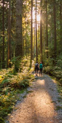 Two people walking on a path in the woods