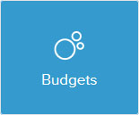 Circle chart icon saying budgets