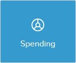 Pie chart icon saying spending