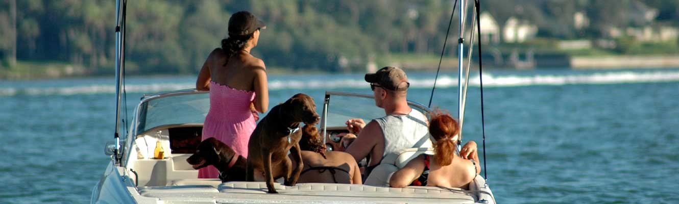 three adults and two dogs enjoying a day on a boat. 